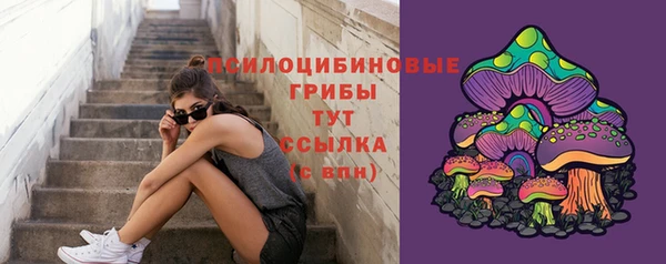 прущие крисы Горняк