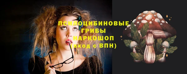 прущие крисы Горняк