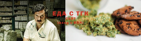 дурь Гусиноозёрск