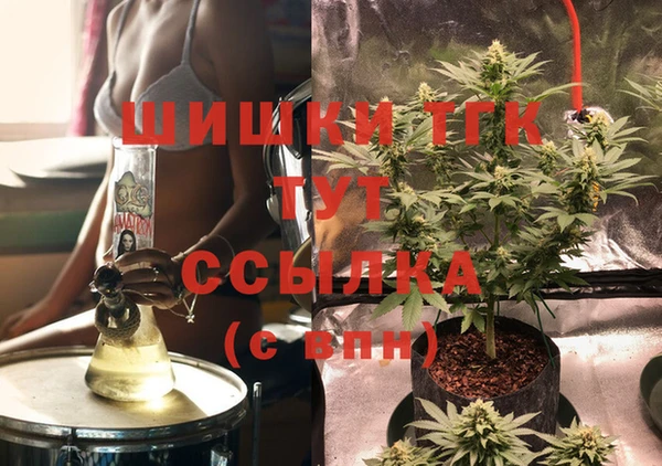 дурь Гусиноозёрск