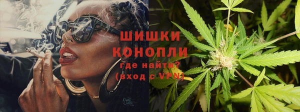дурь Гусиноозёрск