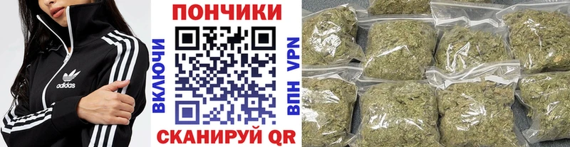 Купить закладки  Сысерть  Каннабис SATIVA & INDICA 